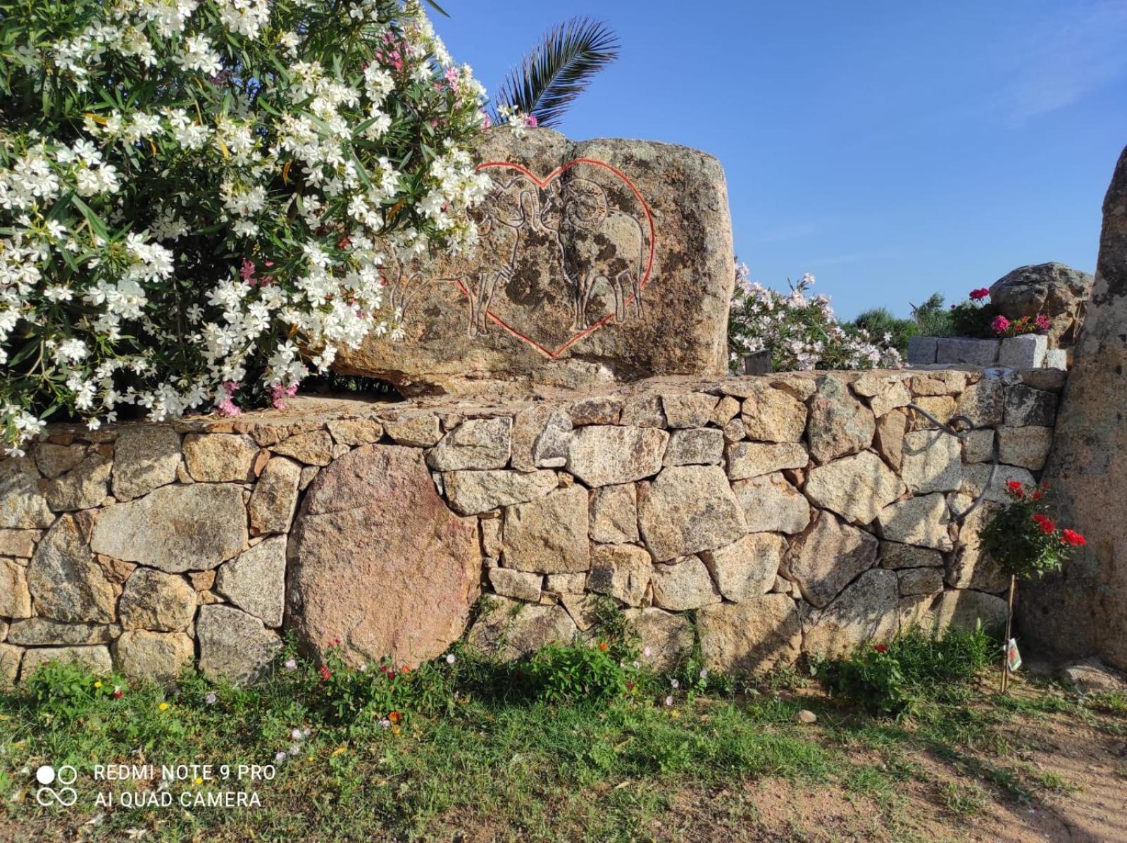Apartment Soelle Olbia